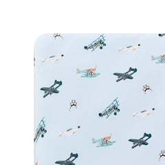 Twin Sheet in Take Off