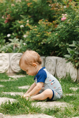 Shortall in Patriotic Goose
