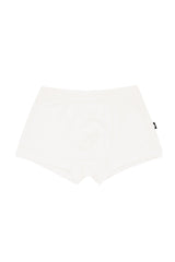 Briefs in Cloud