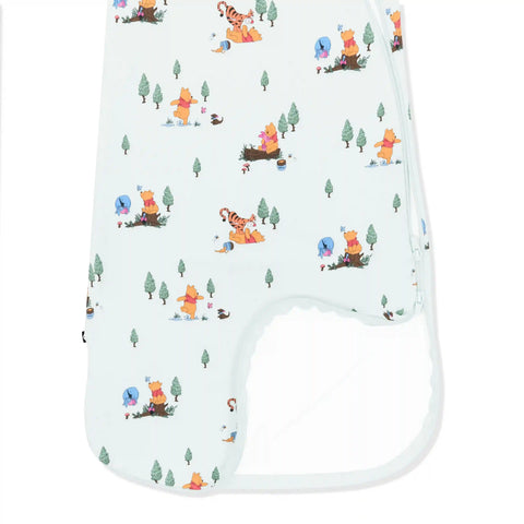 Sleep Bag in Winnie the Pooh Hundred Acre Wood 0.5