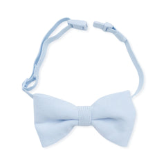 Bow Tie in Breeze